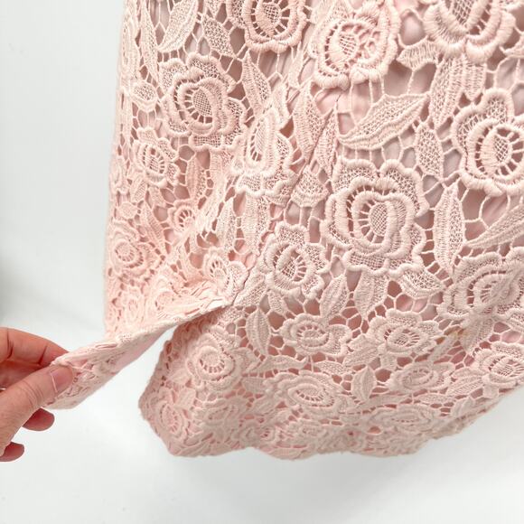 Talbots Petites Sleeveless Floral Crochet Lace Dress Womens Sz 8P Pink Lined - Picture 8 of 12
